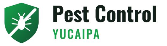 Yucaipa Pest Control